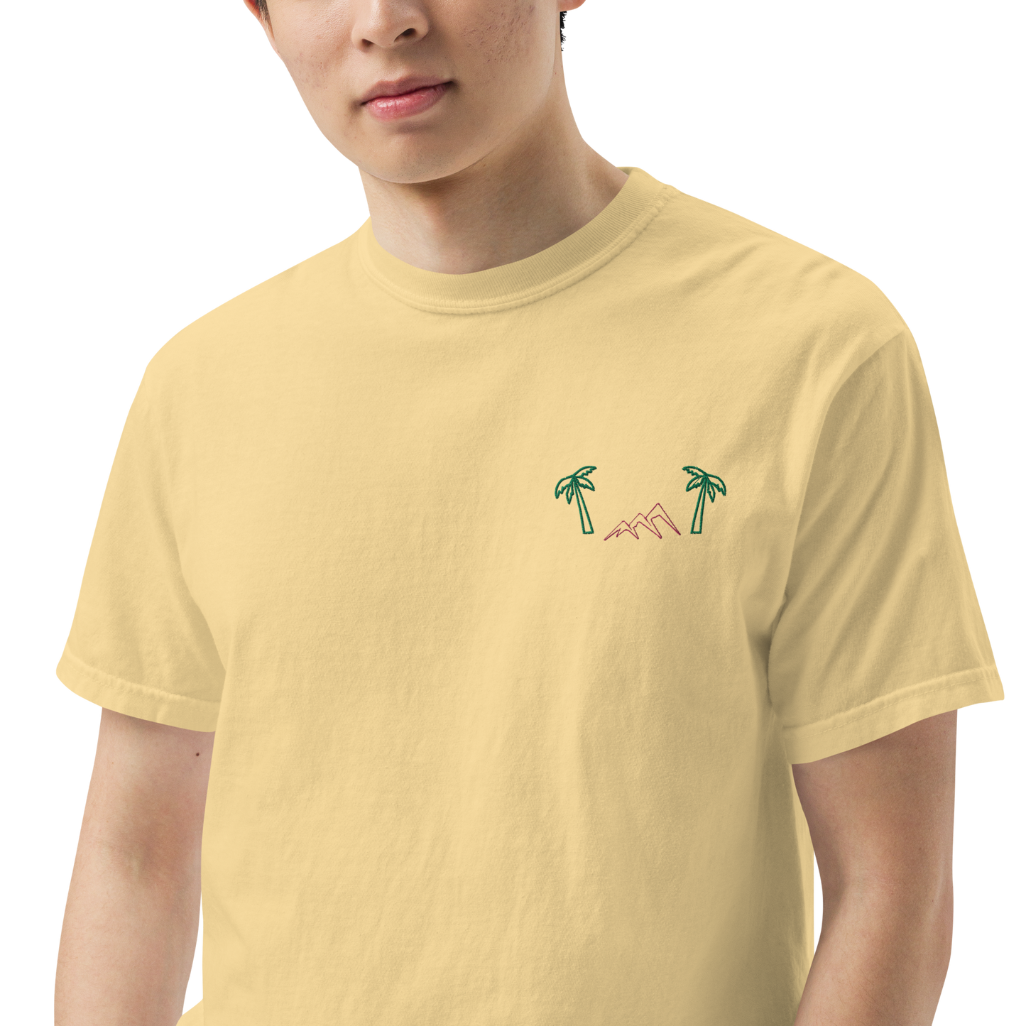 Heavyweight T-Shirt – Icon