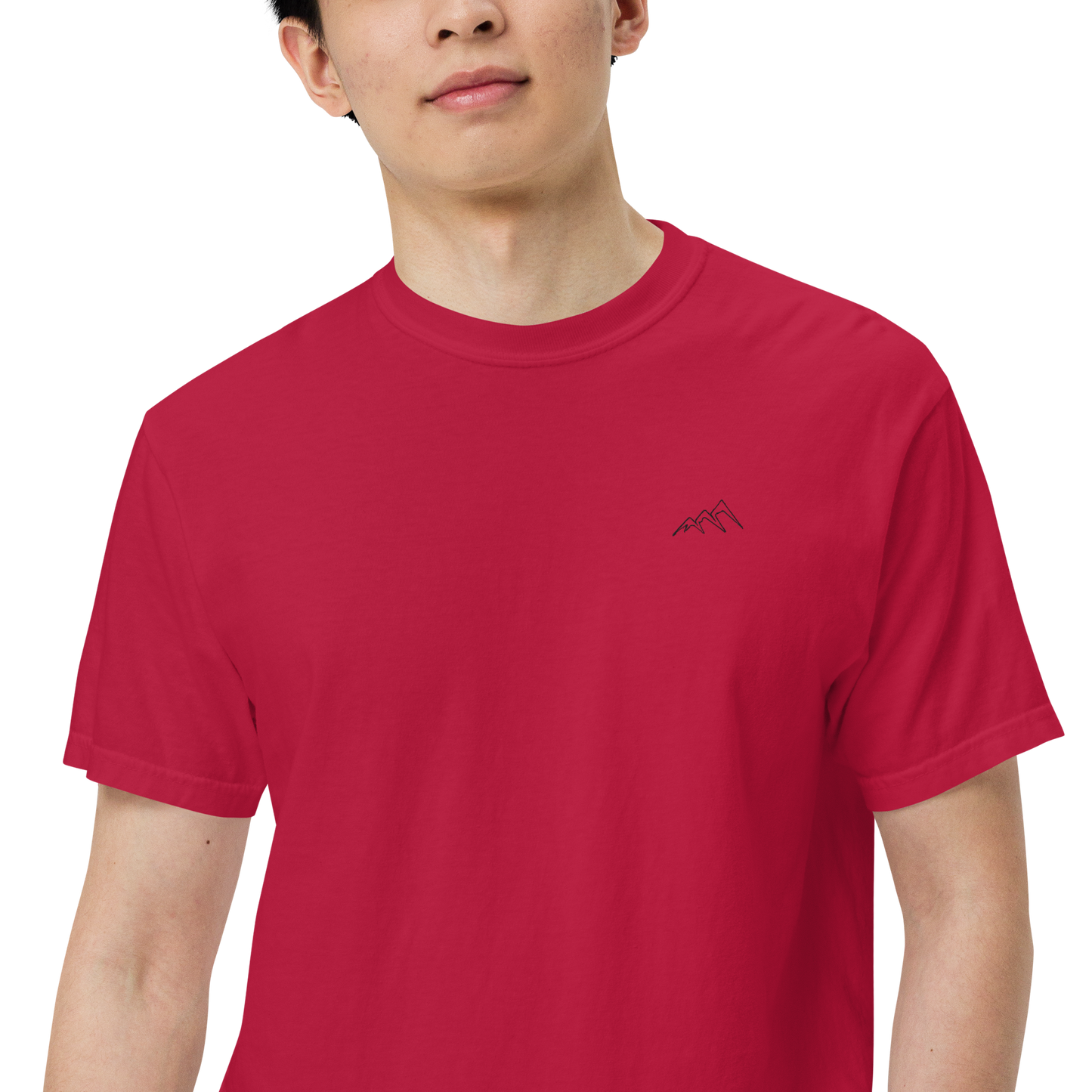 Men’s heavyweight t-shirt
